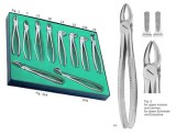 Dental Extracting Forceps