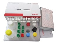 Aflatoxin albumin B1 (AFB1) ELISA Test Kit