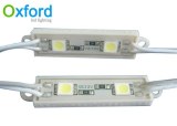 5050-2LED-Modul