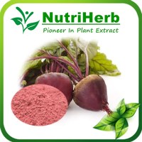 Beet Root Powder