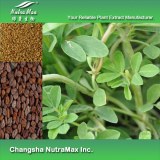 Fenugreek Extract (sales07@nutra-max.com)