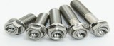 Flange bolt manufacturer