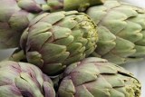 Fresh Artichoke