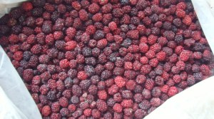 Frozen organic blackberry