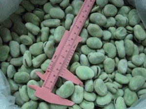 Frozen broad beans