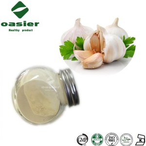 Bulk Garlic Extract Powder Allicin& Alliin Nature Garlic