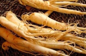 Ginseng Extract