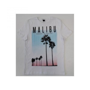 Grossiste tshirt homme Malibu xs/xl