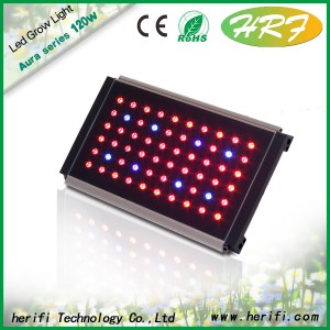 CREE Chip LED Grow Lighting