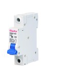 Fchampion Group Brand HGB1-63 Miniature circuit breaker