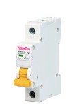 Fchampion Group HGB2-63 Miniature circuit breaker