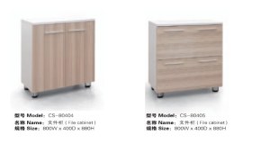 Executive Office Cabinet-CS-80405