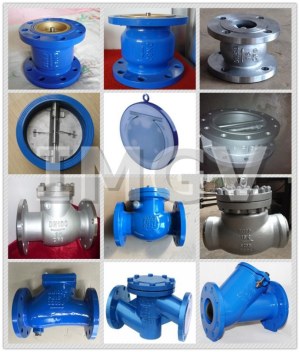 Check Valve