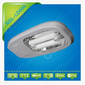 Induction Streetlight 80W/100W/120W/150W/200W/250W