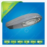 Induction Streetlight 40W/60W/80W/100W