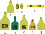 Livestock Ear Tags