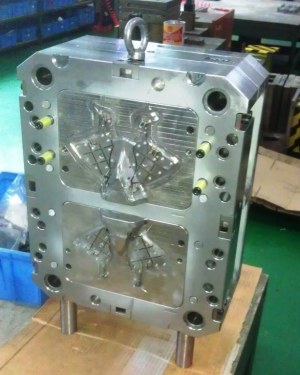 Double Shot Mould 1