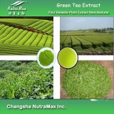 Green Tea Extract 20% L-Theanine (sales07@nutra-max.com)