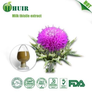 Food Grade High quality 80% Milk Thistle Extract Silymarin