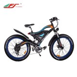 Fat tire mountain electric bike