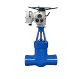 Power station gate valve