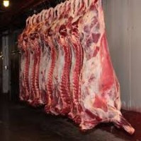 Viande bovine halal