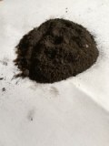 Biochar