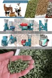 Poultry Feed Pelleting Process Of Feed Pellet Plant