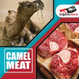 HALAL Camel Meat