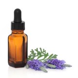 Therapeutic-Grade Pure Essential Oils