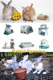 Rabbit Feed Pellet Machine On Sale