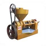 Rapeseed Oil Press Machine