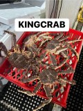 Whole Alaskan King Crab