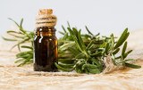 Rosemary essential oil