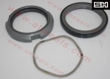 APV pumb seals SH-W010