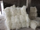 Fibre de sisal naturel