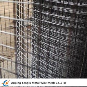 Square Welded Wire Mesh