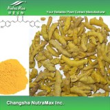 Turmeric Root P.E (sales07@nutra-max.com)