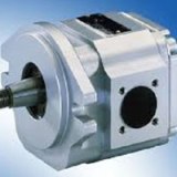 Voith Gear Pump