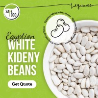 Premium Quality Egyptian White Kidney Beans for Export