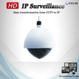 IP HD Fisheye Panoramic dome cctv Camera