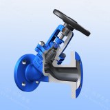 ETM Armaturen Y Pattern Bellows Globe Valve