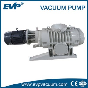 ZJP Roots Vacuum Pump